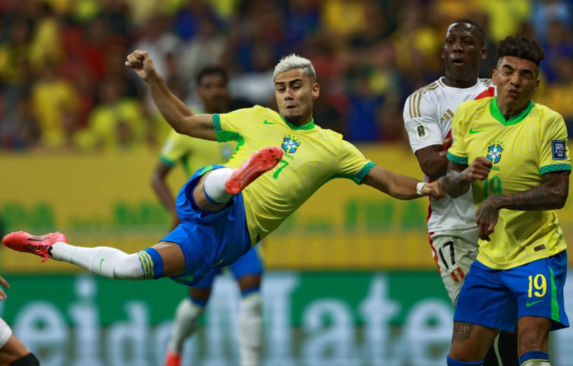 选择我们的五大优势